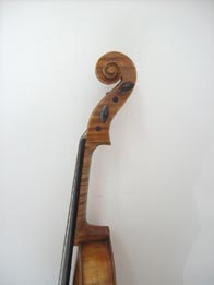 Viola A. Stradivari galben-castaniu (antichizat), lacuita manual cu serlac-alcool tehnic